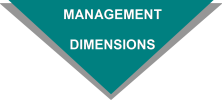Management Dimensions